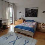 Rent 5 bedroom apartment of 310 m² in Bielawa