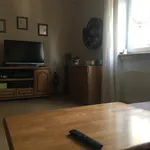 Rent 3 bedroom apartment in Plzeň-jih