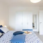 Rent 1 bedroom apartment in Bologna