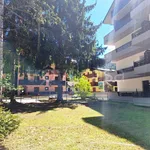 Rent 1 bedroom apartment of 35 m² in Corteno Golgi