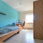 Rent 2 bedroom apartment in ZELE