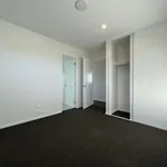 Rent 3 bedroom house in Christchurch