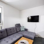 Rent 1 bedroom apartment of 36 m² in Wuppertal