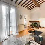 Rent 1 bedroom apartment in Florence