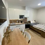 Rent 1 bedroom apartment in Zlín