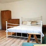 Rent 3 bedroom apartment of 85 m² in Grudziądz