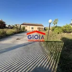 Affitto 1 camera casa di 200 m² in Cancello ed Arnone