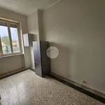 Rent 2 bedroom apartment of 40 m² in Turin