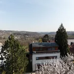 Rent 6 bedroom apartment of 190 m² in Prague