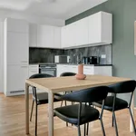 Rent 3 bedroom apartment of 70 m² in Vienna