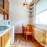 Rent 1 bedroom apartment of 38 m² in Hradec Králové