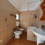 Rent 2 bedroom apartment of 44 m² in Rubiana