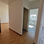 Rent 3 bedroom apartment of 57 m² in COLMAR