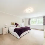 Rent 5 bedroom house in London