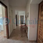 Rent 2 bedroom apartment of 40 m² in Perugia