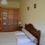 Rent 1 bedroom apartment in Lisbon