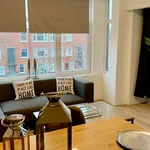 Rent 1 bedroom apartment of 42 m² in Den Haag