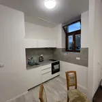 Rent 1 bedroom apartment in Jablonec nad Nisou