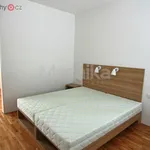 Rent 3 bedroom apartment of 83 m² in Lanškroun