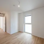 Zimmer von 52 m² in Vienna