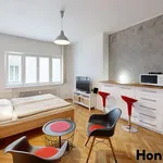 Rent 1 bedroom apartment of 35 m² in Praha