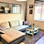 Rent 1 bedroom apartment in Prague