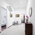 Rent 2 bedroom apartment in Bologna