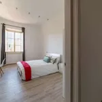 Rent a room in florence