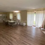 Rent 2 bedroom apartment of 60 m² in Luni