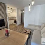 Rent 2 bedroom apartment of 40 m² in Katowice