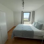 Appartement de 177 m² avec 1 chambre(s) en location à Leuven