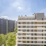 Rent 4 bedroom apartment in Madrid