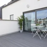 Rent 1 bedroom apartment in Antwerpen