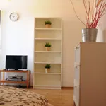 Rent 1 bedroom apartment of 36 m² in Prague