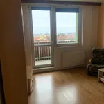 Rent 1 bedroom apartment in Brno