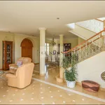 Rent 11 bedroom house of 250 m² in Pietrasanta