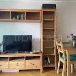 Rent 2 bedroom apartment of 50 m² in Milano