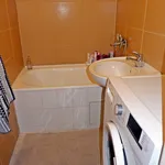 Rent 1 bedroom apartment in Ostrava