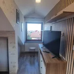 Rent 2 bedroom apartment of 55 m² in Nowy Sącz