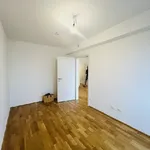 Rent 1 bedroom apartment of 44 m² in Graz