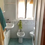 Rent 2 bedroom apartment of 65 m² in Latina