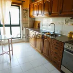 Rent 1 bedroom apartment of 82 m² in Coimbra