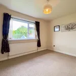 Detached bungalow to rent in Woodvale Close, Walton, Chesterfield S40