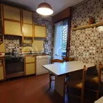 Rent 3 bedroom apartment of 100 m² in Padova