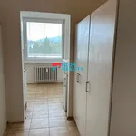 Pronájem bytu 1+1 43m²