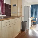 Rent 3 bedroom house in Hull