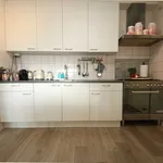 Huur 1 slaapkamer appartement van 60 m² in Leiden