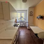 Rent 4 bedroom apartment of 71 m² in Trhový Štěpánov