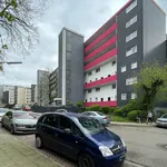 Miete 4 Schlafzimmer wohnung von 77 m² in Herne