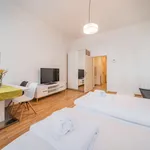 Miete 1 Schlafzimmer wohnung von 33 m² in Vienna